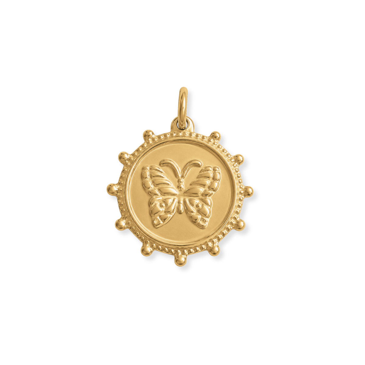 Butterfly Disc Charm