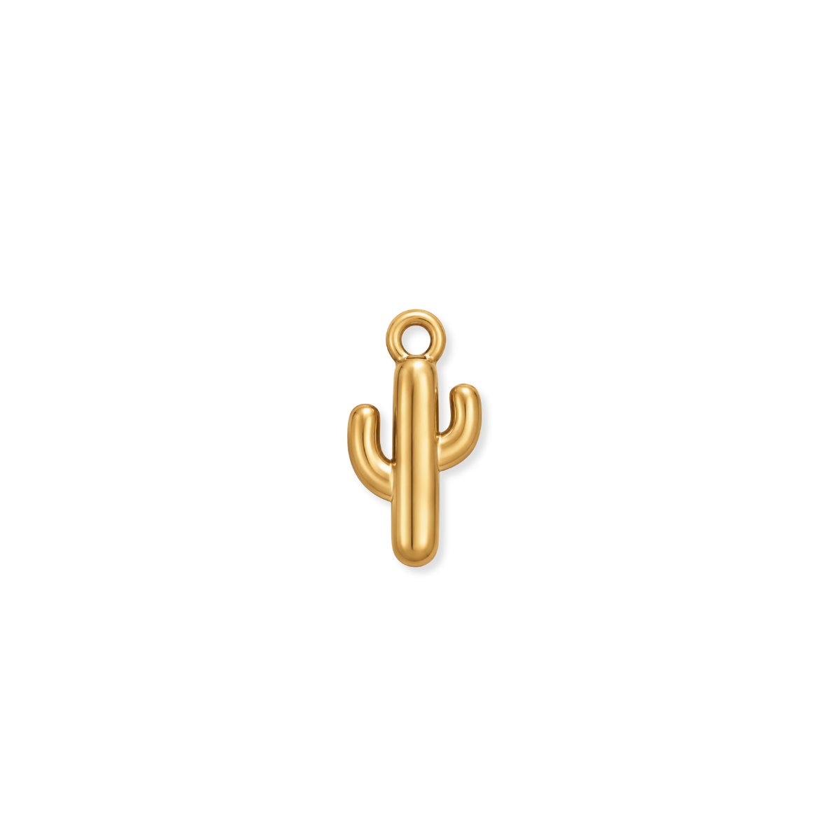 Cactus Charm