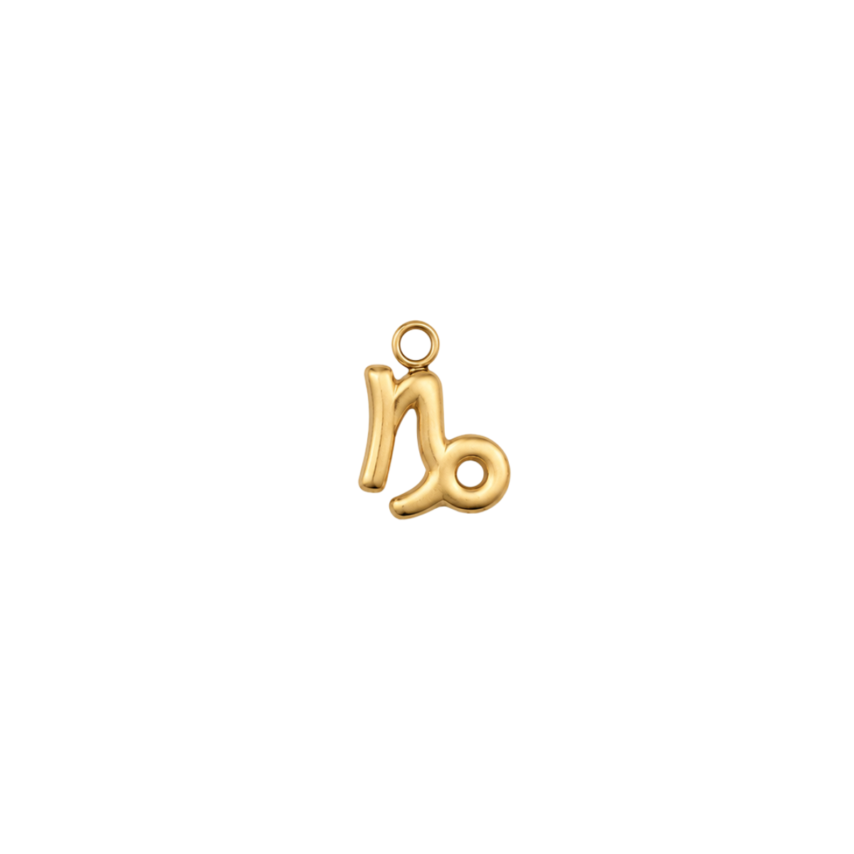 Capricorn Zodiac Charm