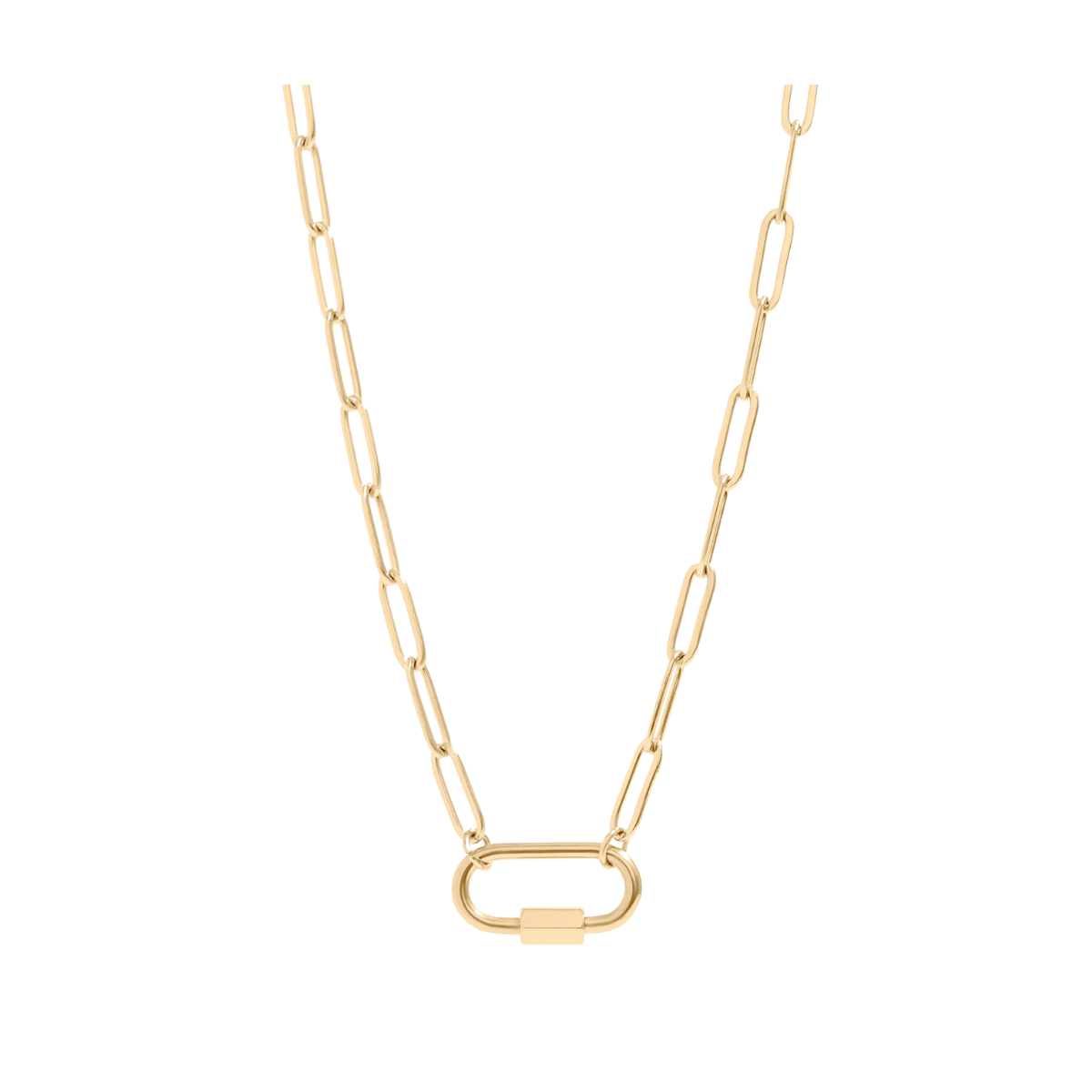 Carabiner Paperclip Necklace