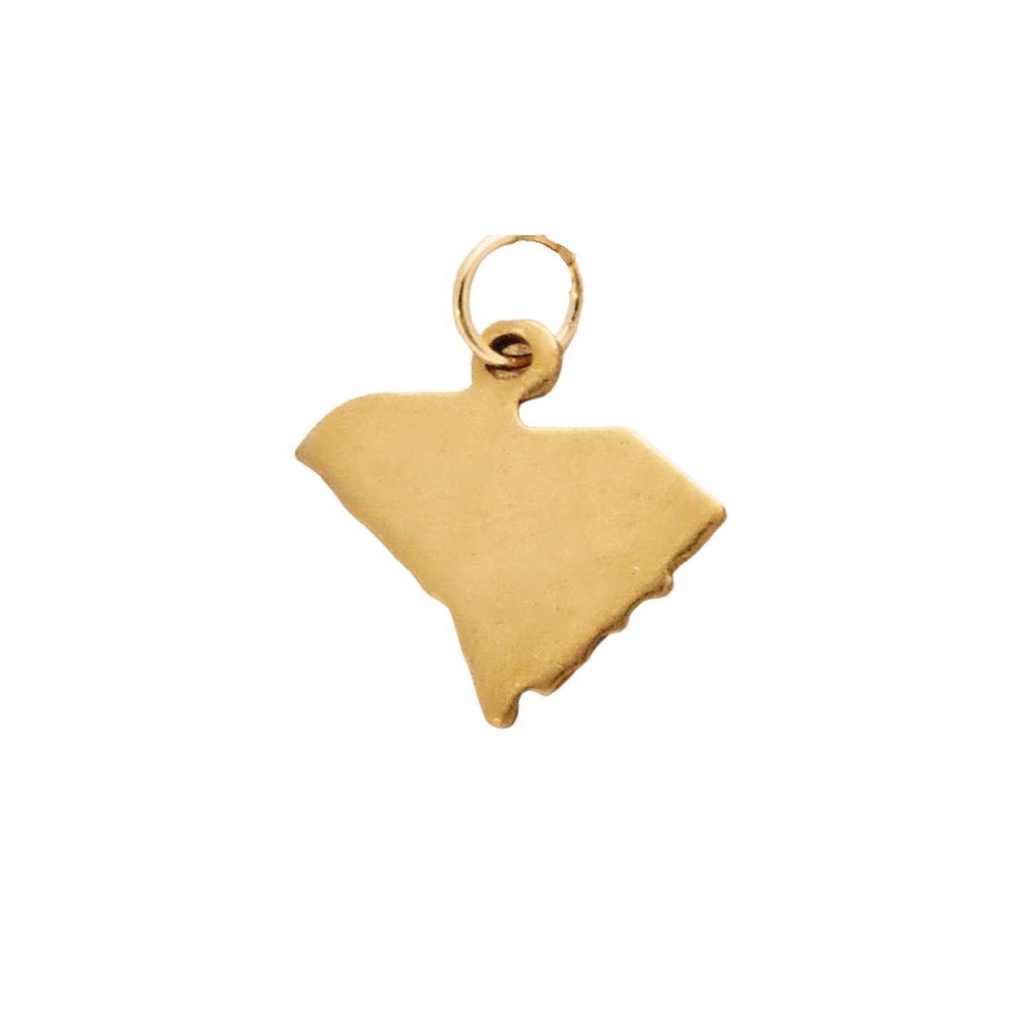South Carolina Brass Charm