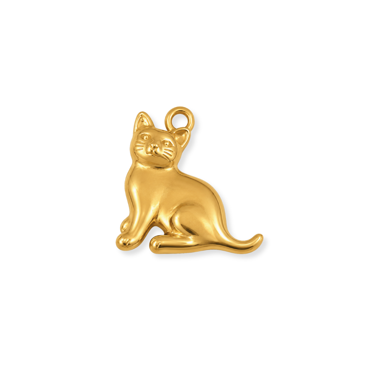 Large Cat Charm
