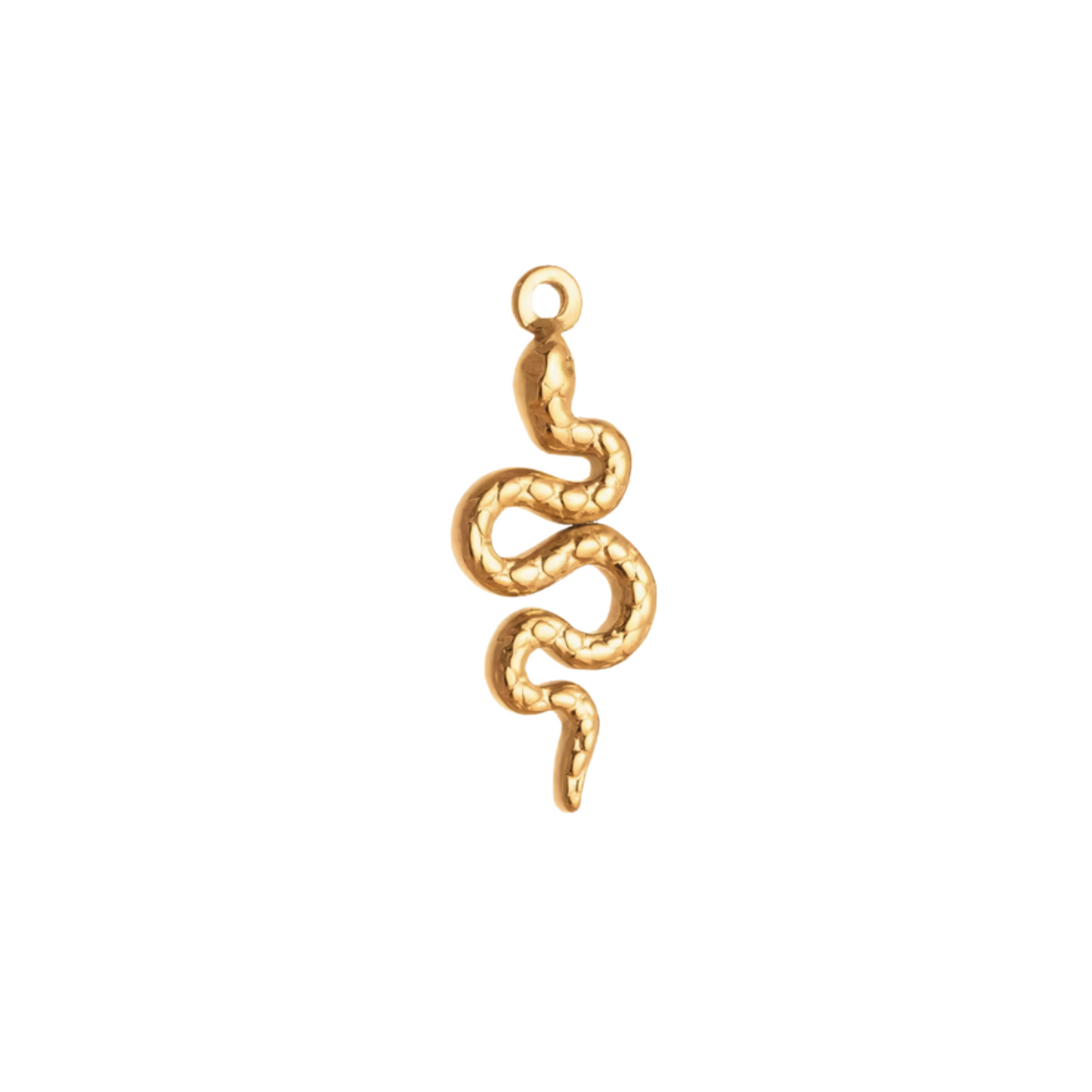 Snake Charm