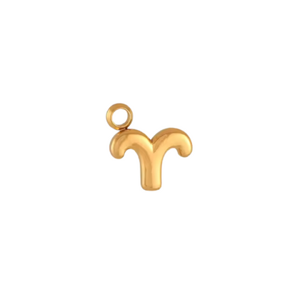 Zodiac Sign Charm