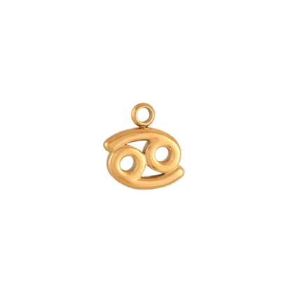 Zodiac Sign Charm