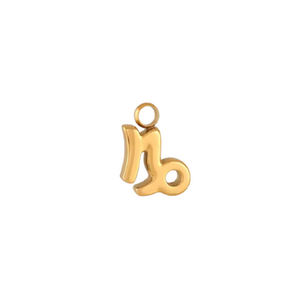 Zodiac Sign Charm