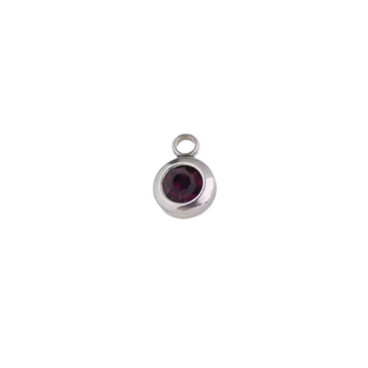 Silver Round Birthstone Charm