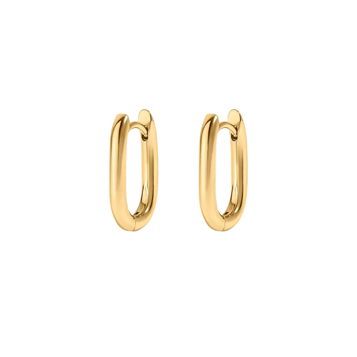 Oval Hoop Earrings