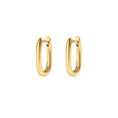 Oval Hoop Earrings