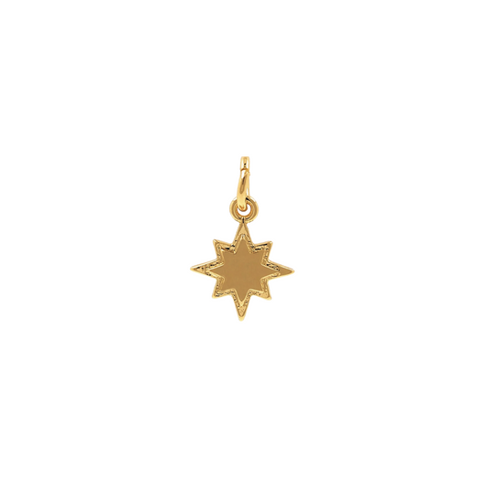 Small Compass Star Charm