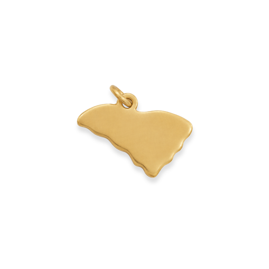 South Carolina Brass Charm