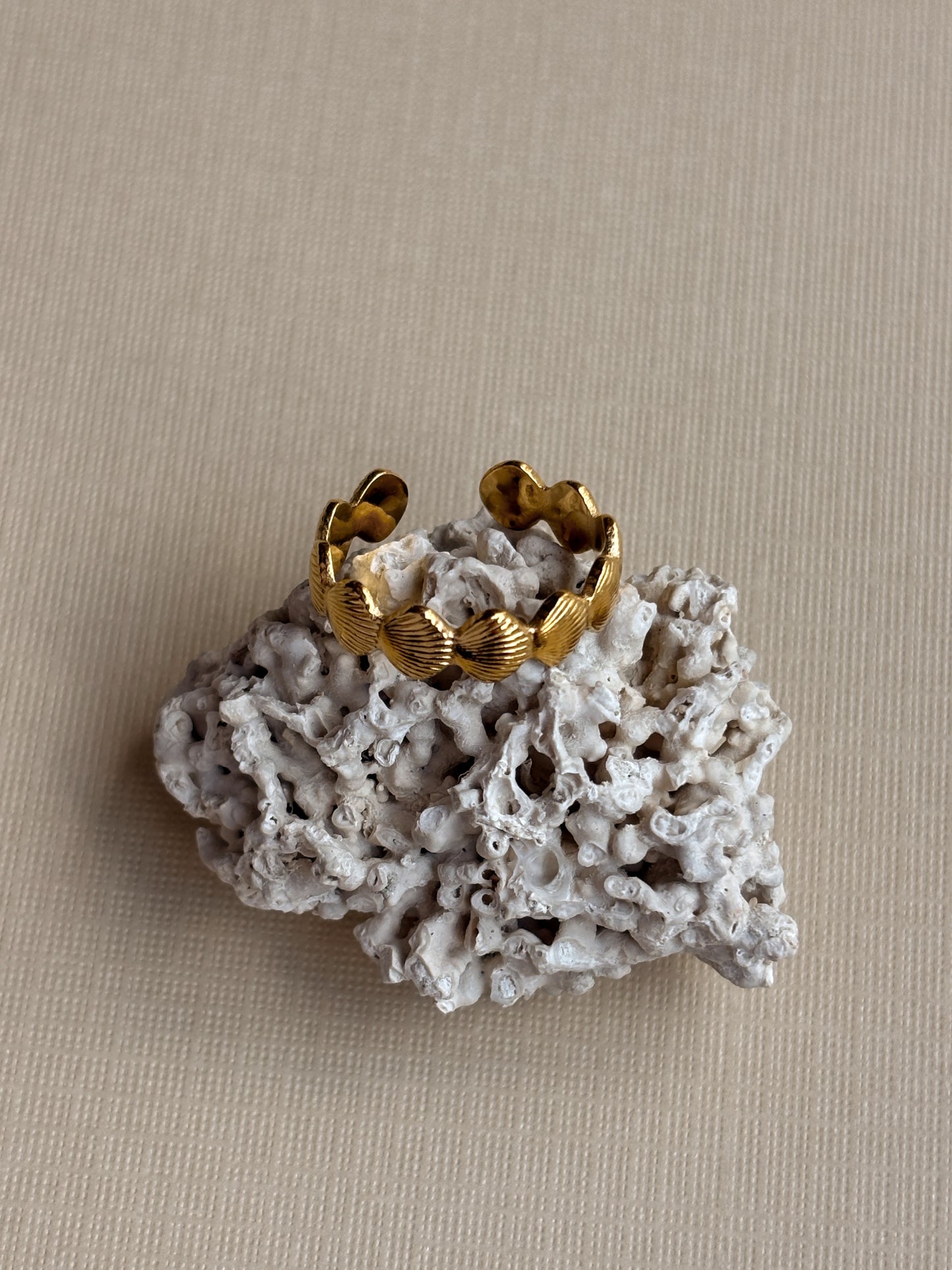 Adjustable Shell Ring