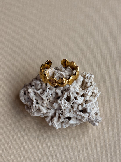 Adjustable Shell Ring