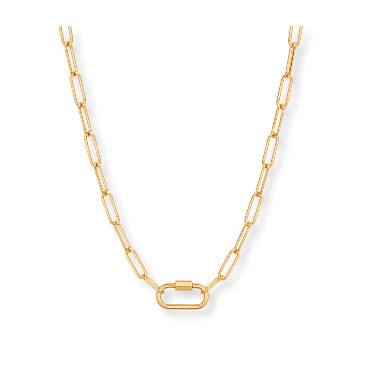 Carabiner Paperclip Chain