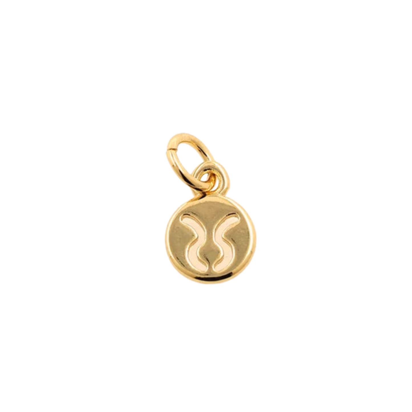 Zodiac Sign Charm