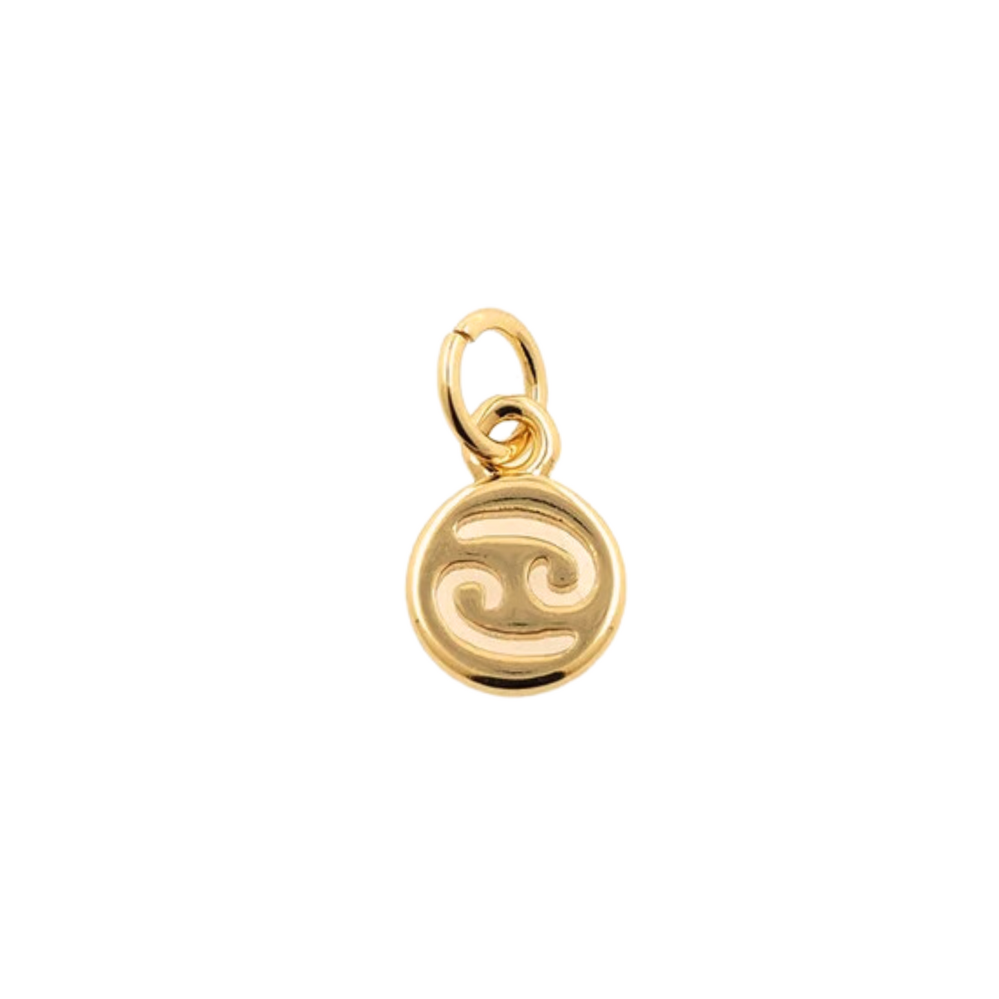 Zodiac Sign Charm