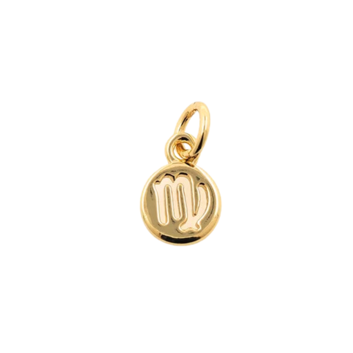 Zodiac Sign Charm