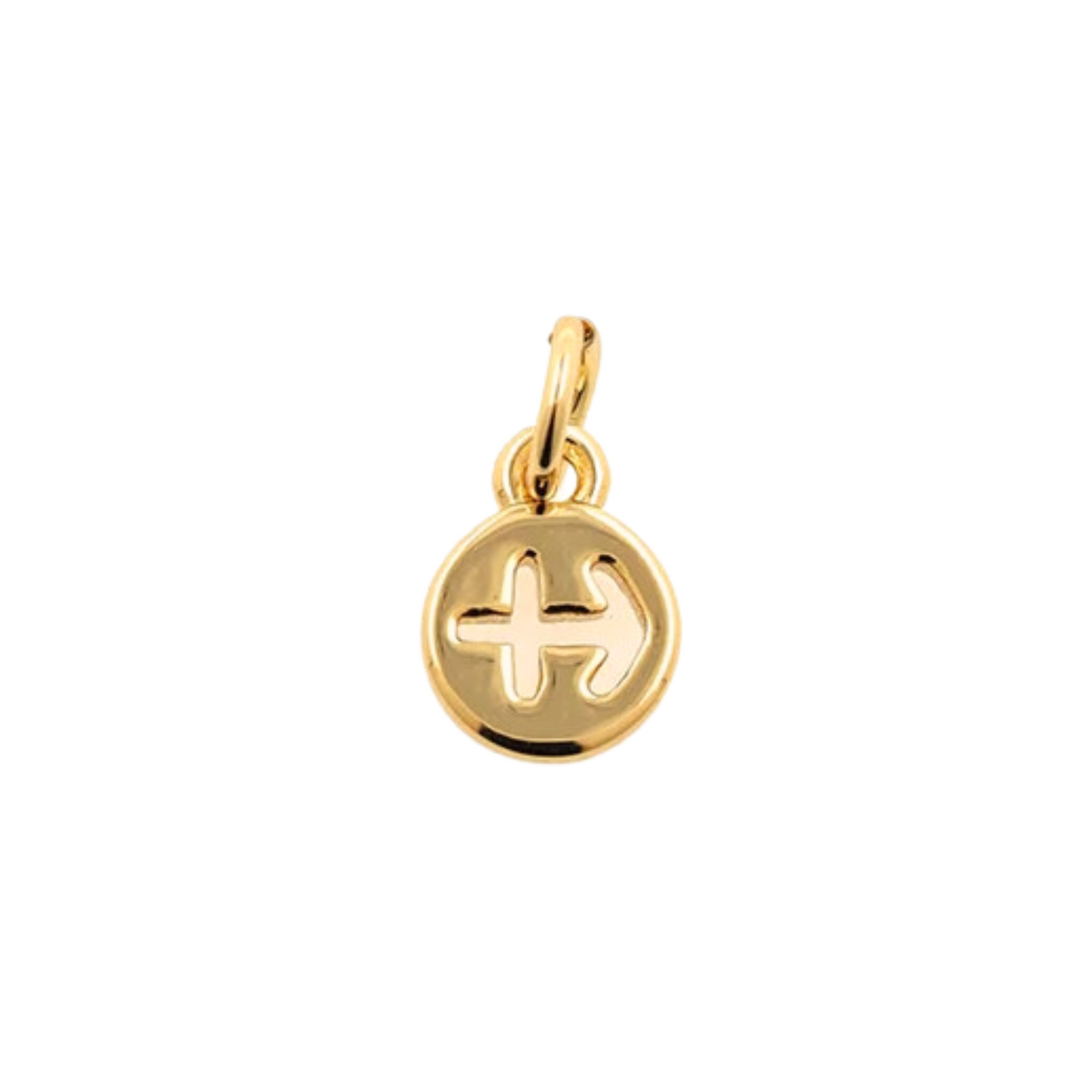 Zodiac Sign Charm