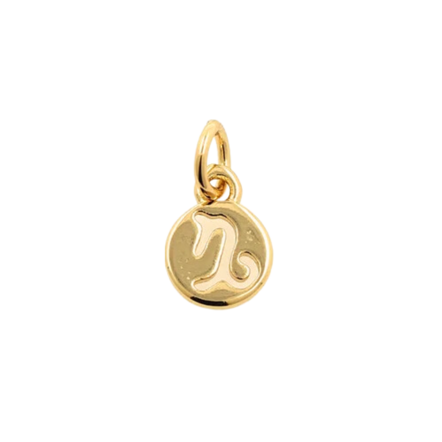 Zodiac Sign Charm