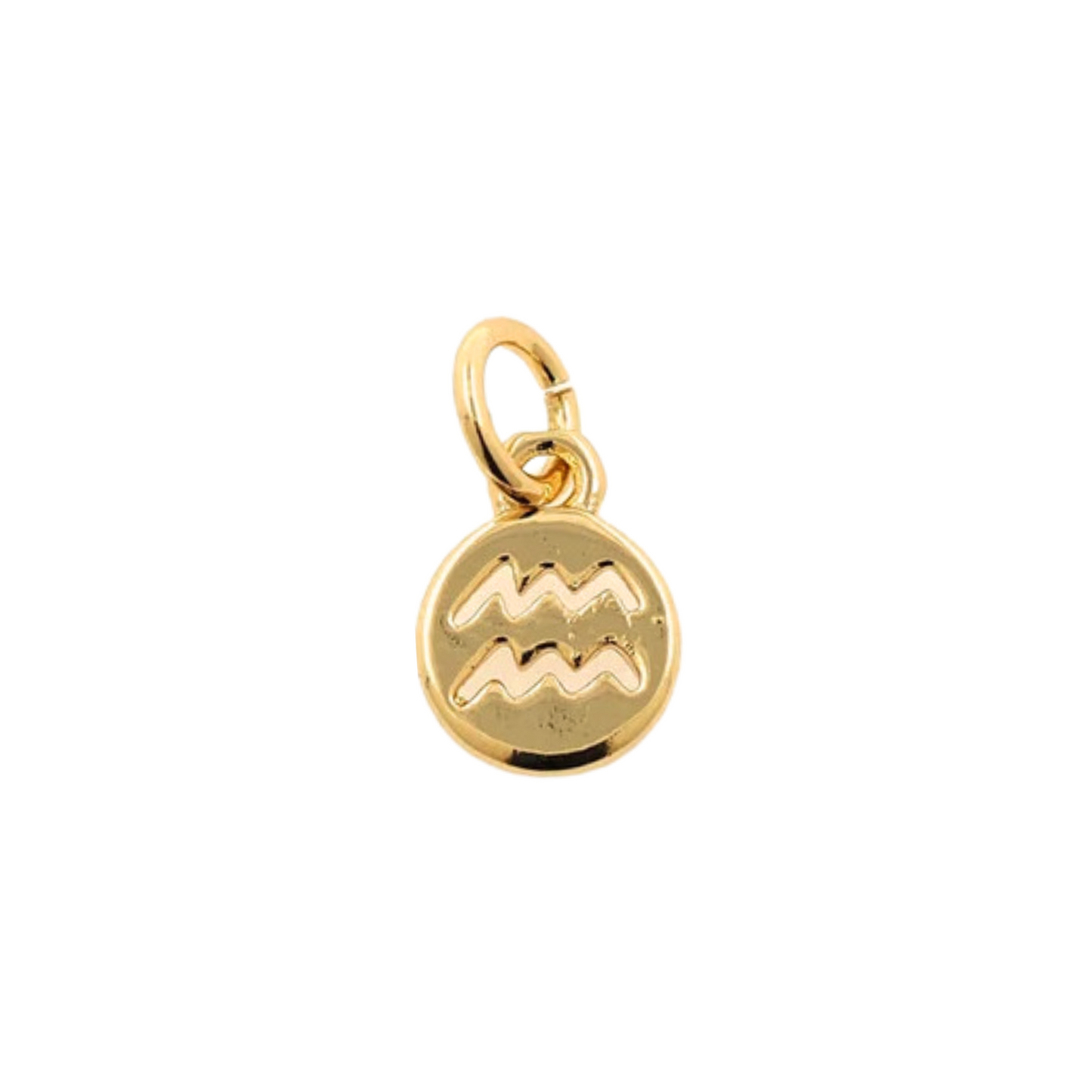 Zodiac Sign Charm