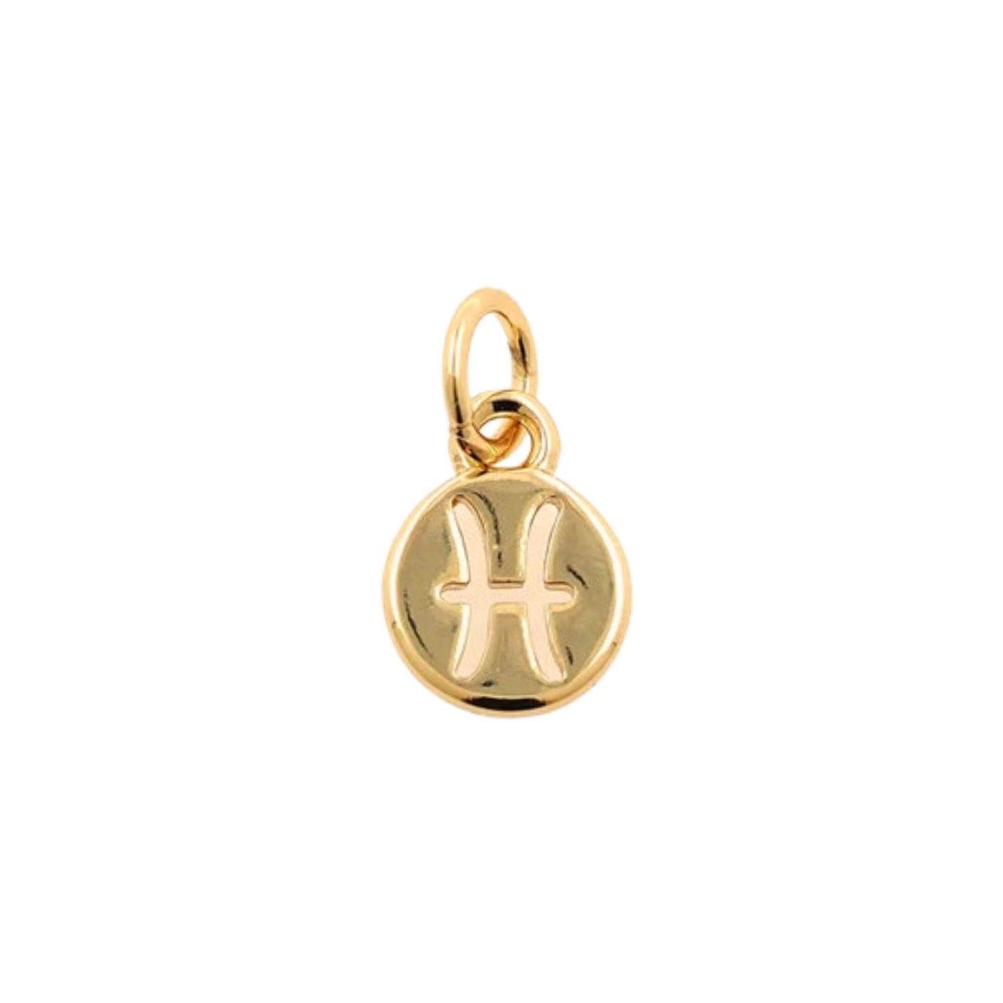 Zodiac Sign Charm