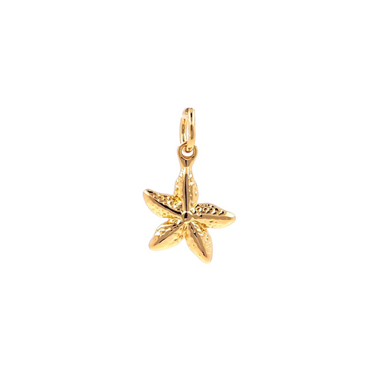 Starfish Charm