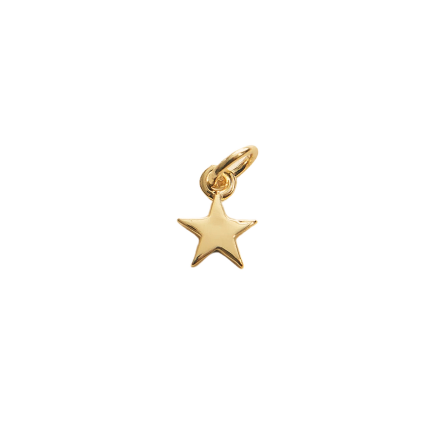 Tiny Gold Star Charm