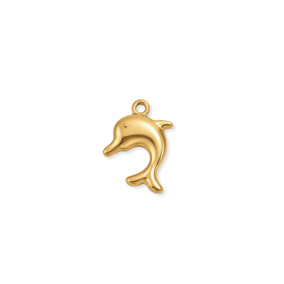 Dolphin Charm