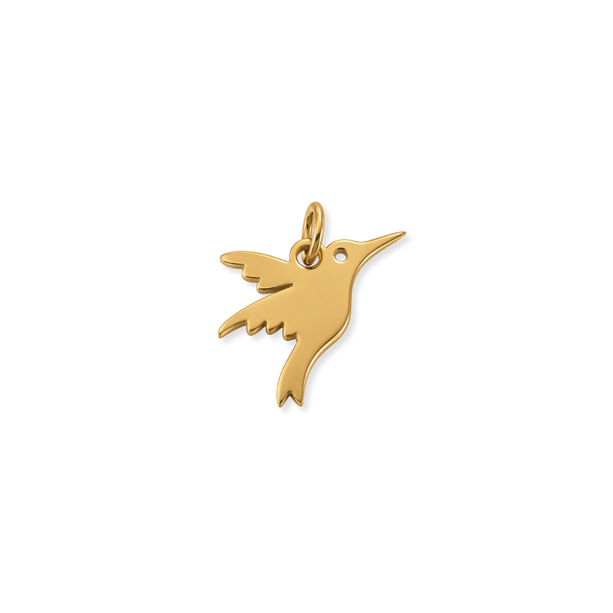 Hummingbird Charm