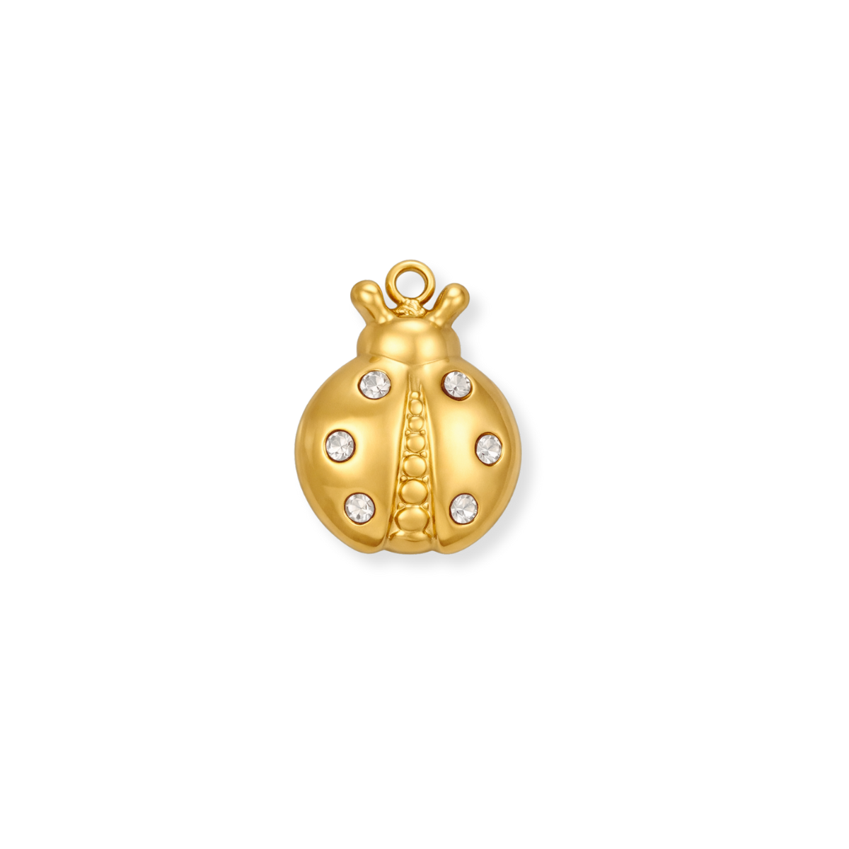Ladybug Charm