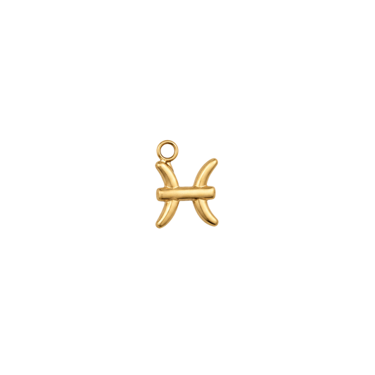Pisces Zodiac Charm