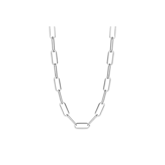 Silver Classic Paperclip