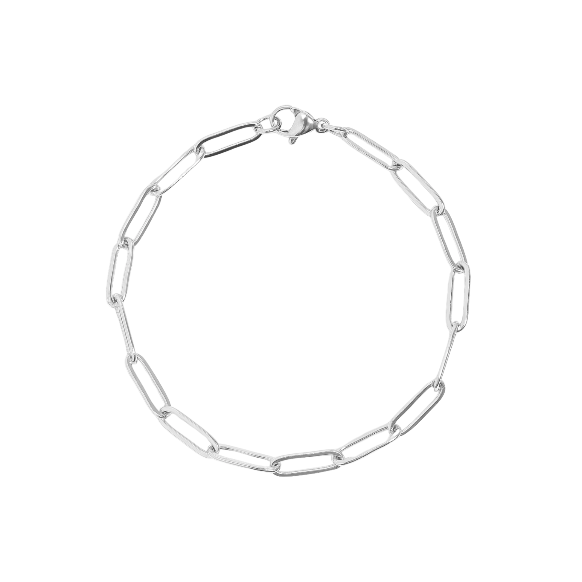 Silver Classic Paperclip