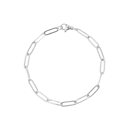 Silver Classic Paperclip