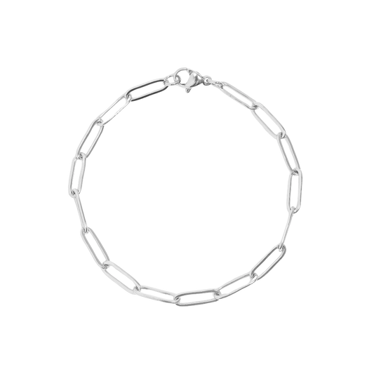 Silver Classic Paperclip